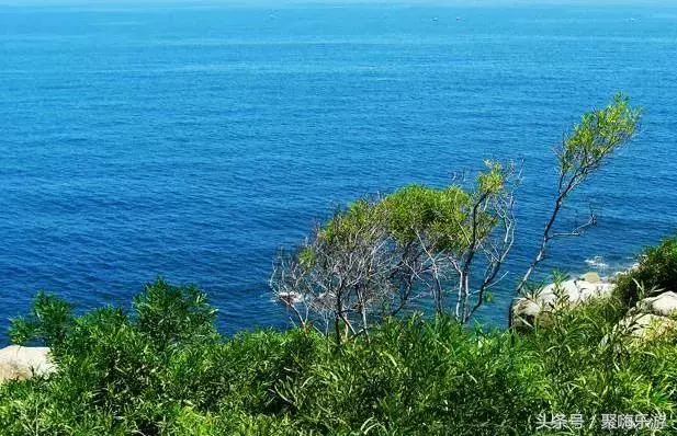 阳西大树岛怎么收费_阳西大树岛旅游攻略_阳西大树岛旅游攻略