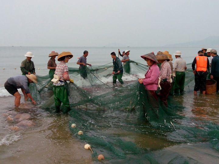 阳西大树岛 概览_阳西大树岛钓鱼不准上岛_阳西大树岛旅游攻略