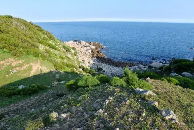 阳西大树岛怎么收费_阳西上洋河北大树岛_阳西大树岛旅游攻略