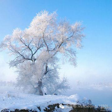 北京到雪乡旅游攻略_北京去雪乡路线_北京到雪乡自驾几个小时