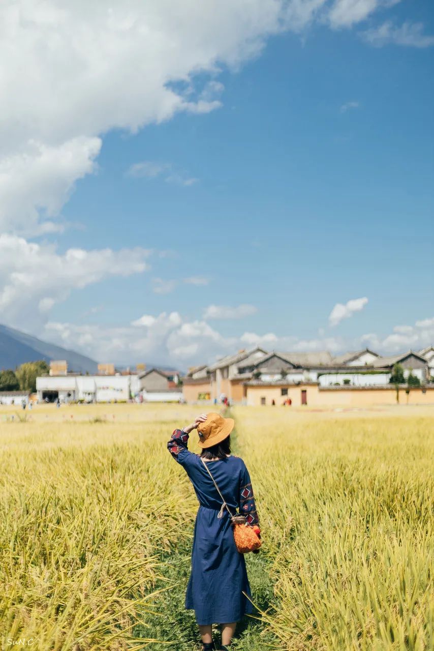 锦江里碉楼群旅游攻略_广东开平碉楼旅游攻略_开平碉楼旅游日记