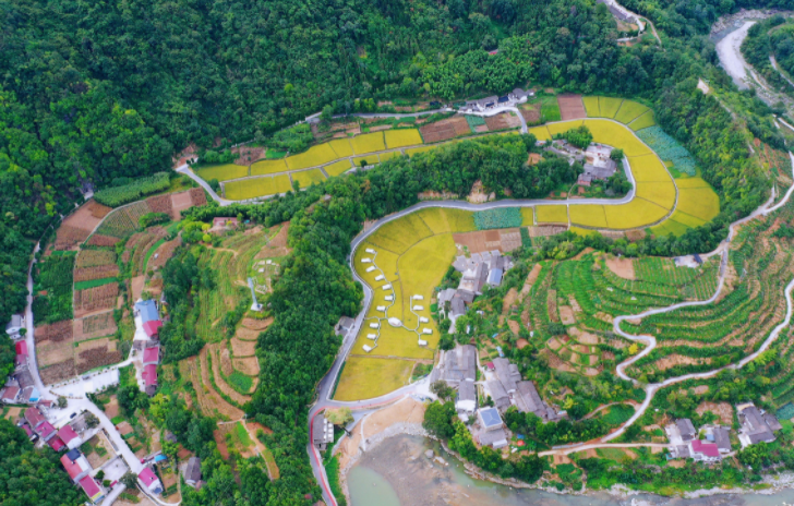 莲花最好玩的地方_莲花县好玩的景点_莲花旅游有什么地方