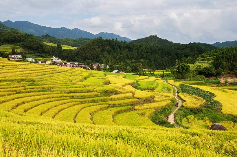 锦江里碉楼群旅游攻略_锦江里碉楼图片_开平锦江里碉楼