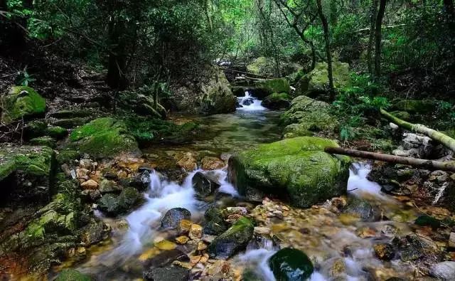 锦江里碉楼群旅游攻略_开平锦江里碉楼_锦江里碉楼图片