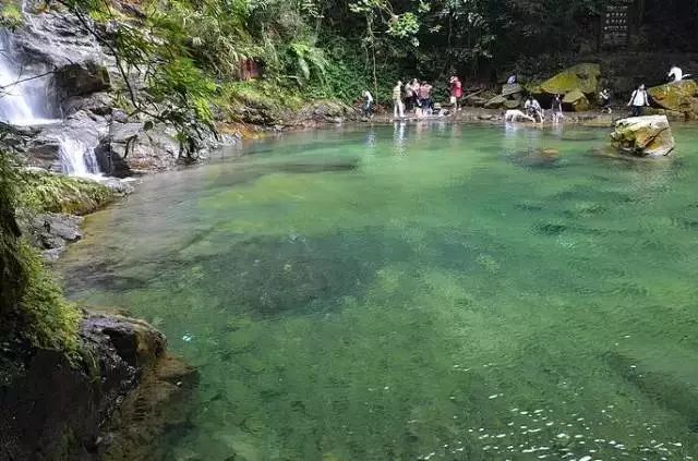 锦江里碉楼群旅游攻略_锦江里碉楼图片_开平锦江里碉楼