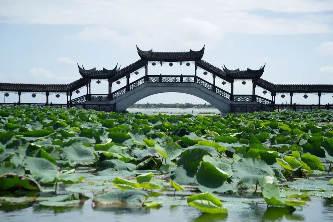 江苏古镇地址_古镇攻略江苏旅游推荐_江苏古镇旅游攻略