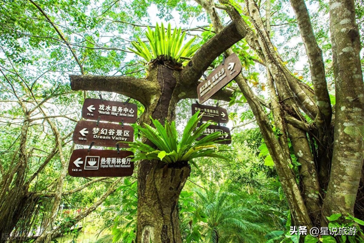 海岛景点国外旅游推荐_旅游景点推荐国外海岛_海岛旅游胜地国外