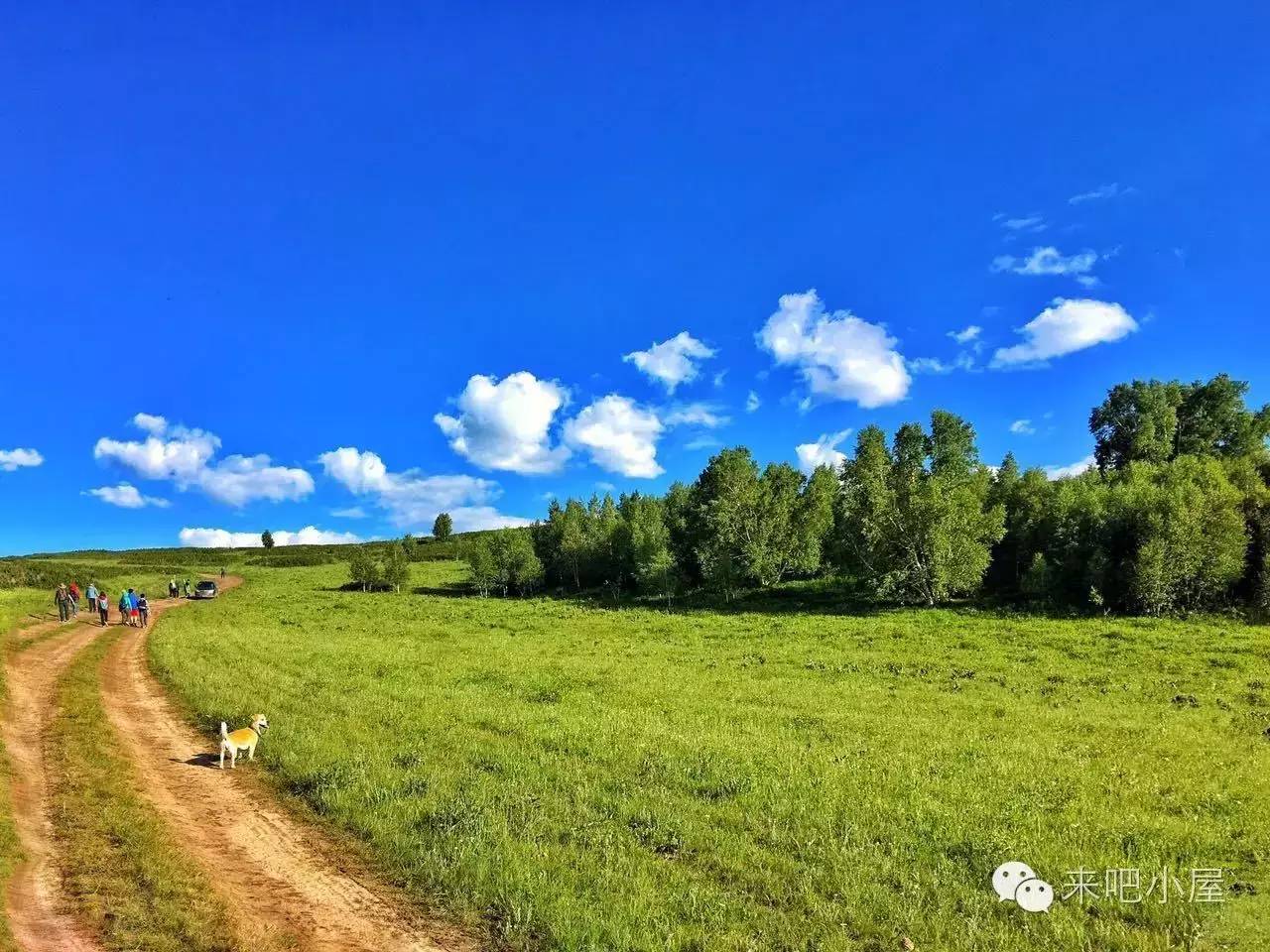 坝上草原旅游需要带什么_自驾游坝上草原_去坝上草原旅游攻略