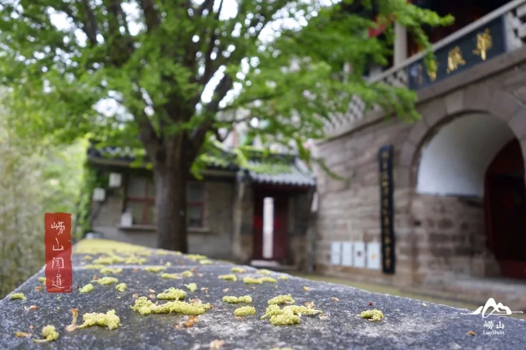 崂山风景区北九水攻略_崂山北九水旅游攻略_崂山北九水旅游攻略注意事项