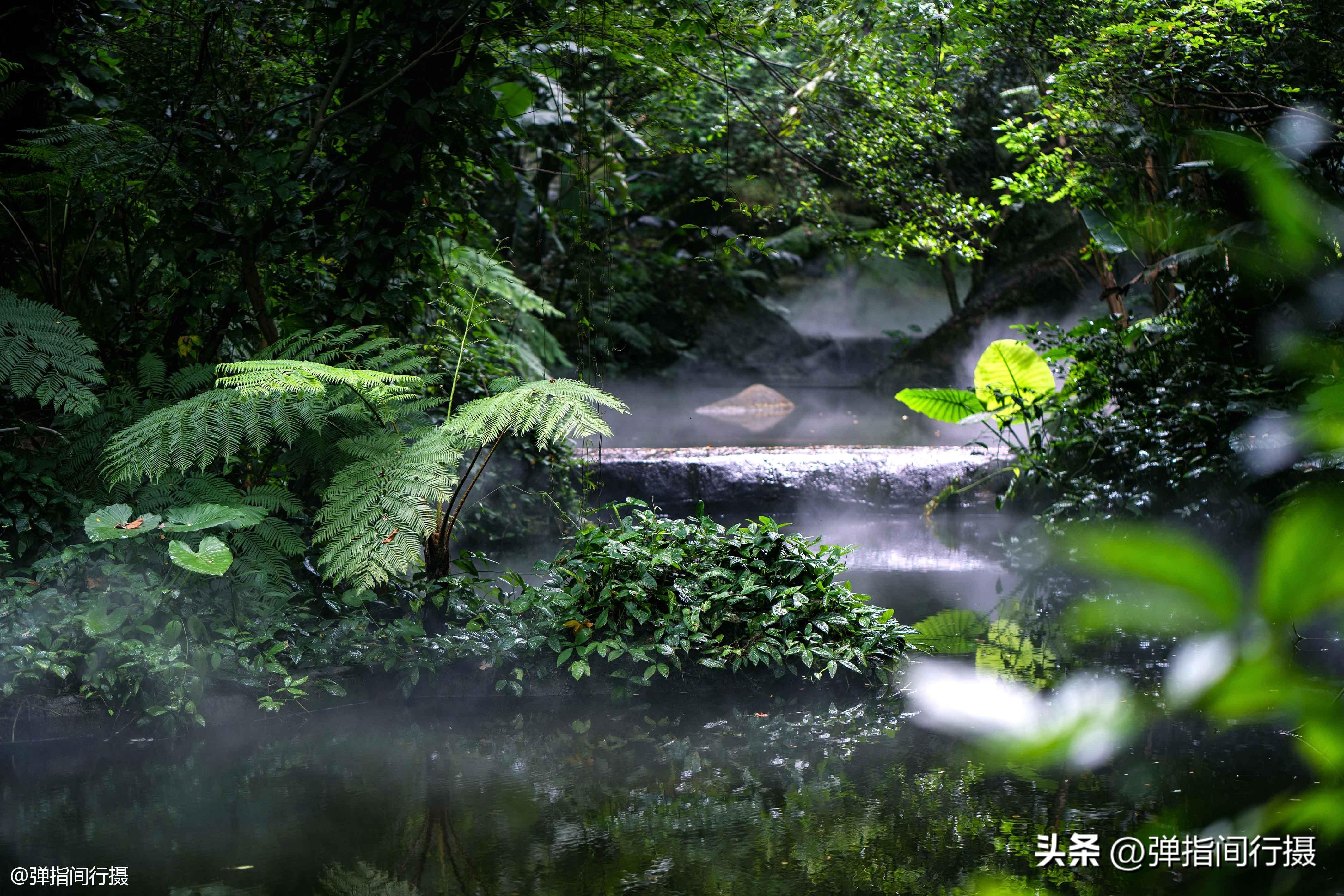 厦门攻略旅游攻略_厦门攻略旅游攻略最新_厦门的旅游攻略