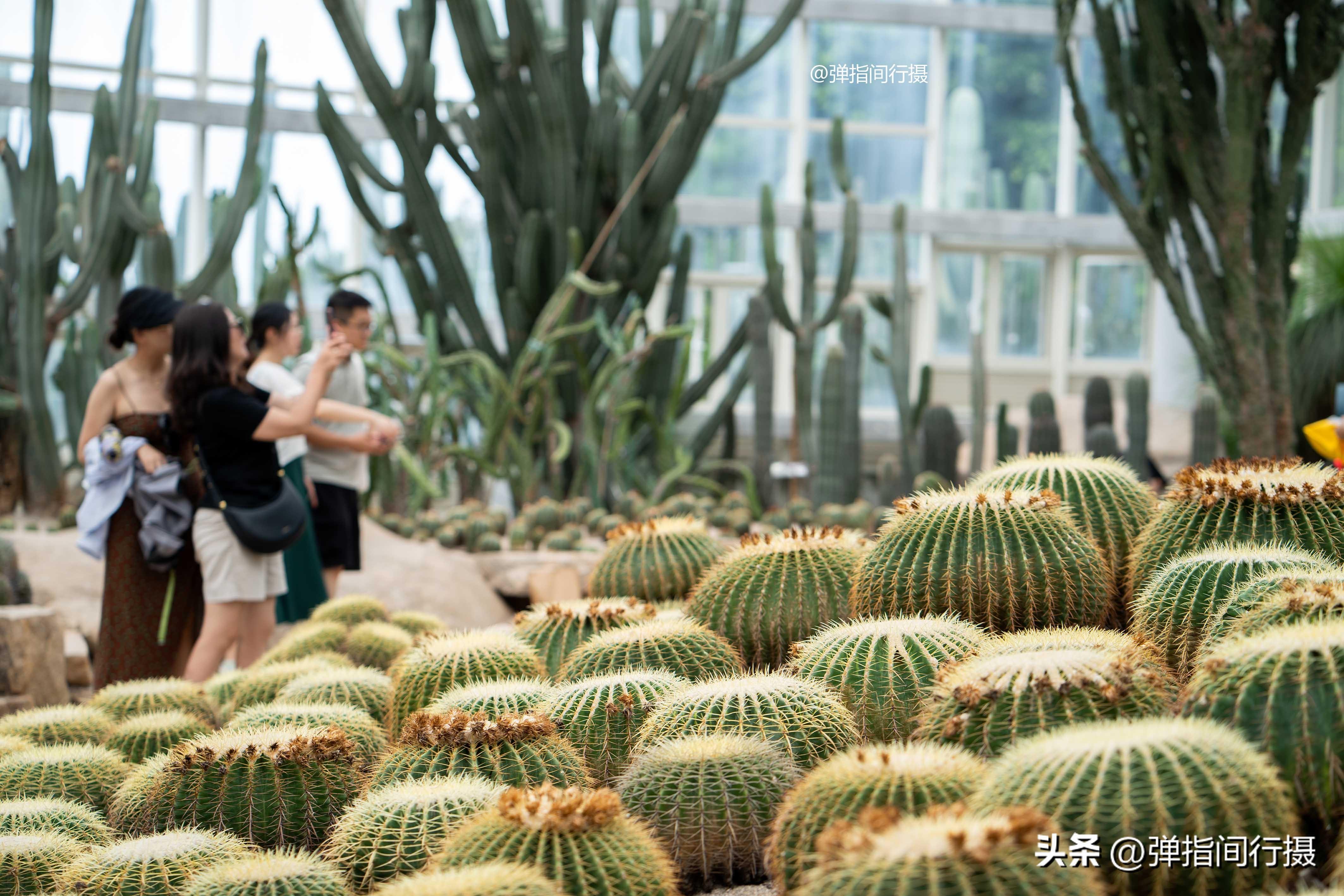 厦门的旅游攻略_厦门攻略旅游攻略_厦门攻略旅游攻略最新