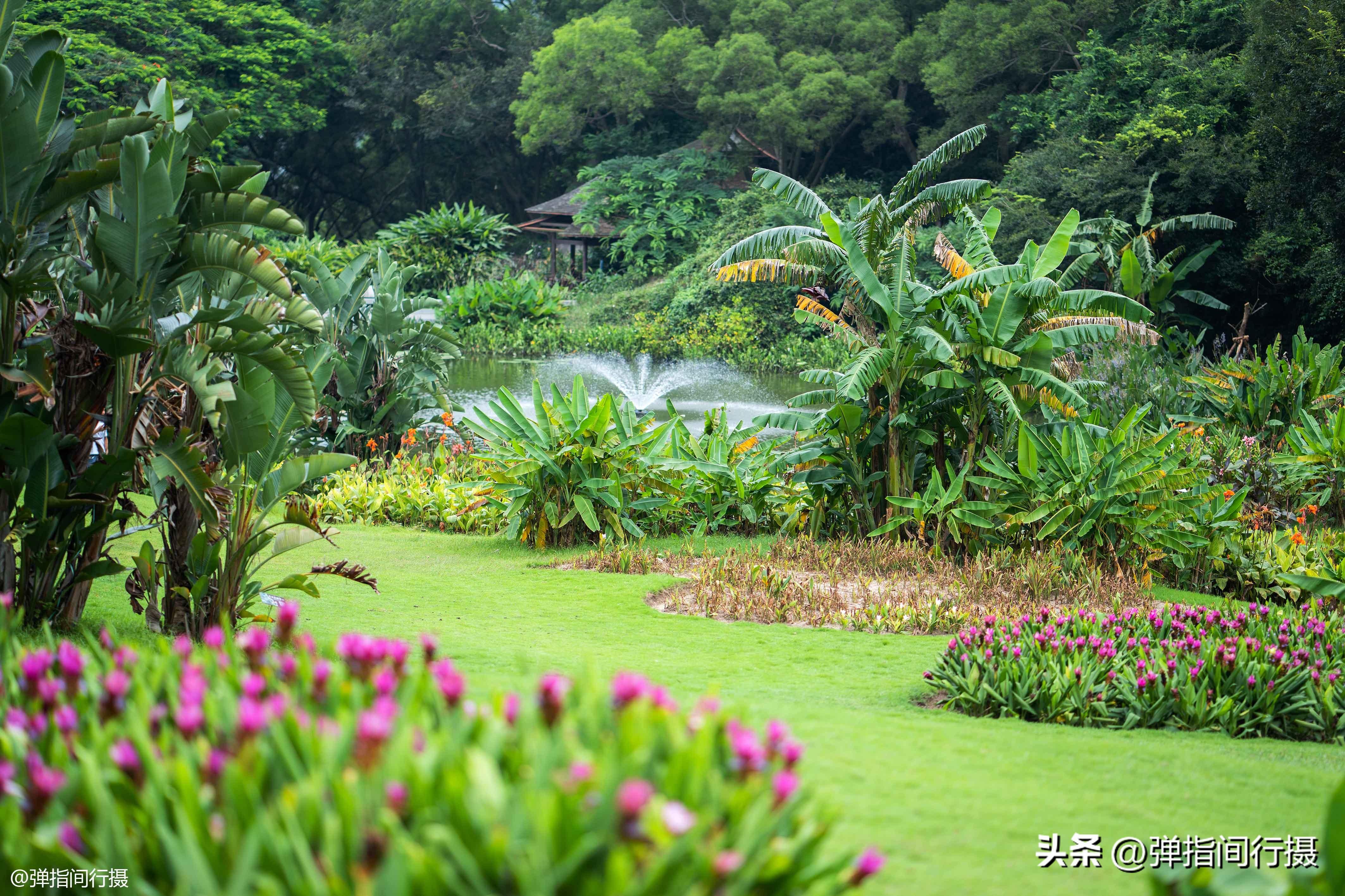 厦门攻略旅游攻略最新_厦门的旅游攻略_厦门攻略旅游攻略