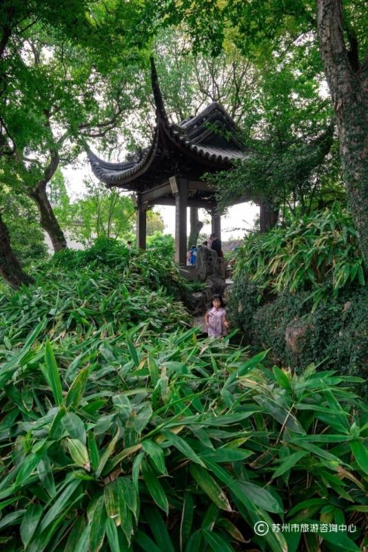 火红的萨日朗设为铃声_苏州7月旅游攻略_看图写话小兔让山羊爷爷过桥