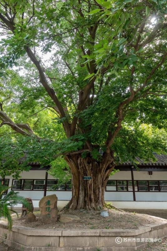 看图写话小兔让山羊爷爷过桥_苏州7月旅游攻略_火红的萨日朗设为铃声