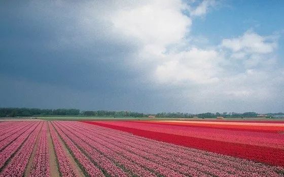 菲律宾旅游攻略 旅游攻略_枸杞岛旅游最强旅游攻略_鹿特丹旅游攻略