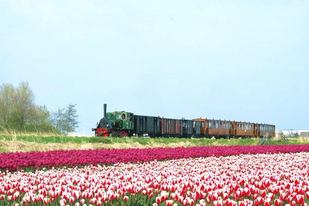 鹿特丹旅游攻略_菲律宾旅游攻略 旅游攻略_枸杞岛旅游最强旅游攻略