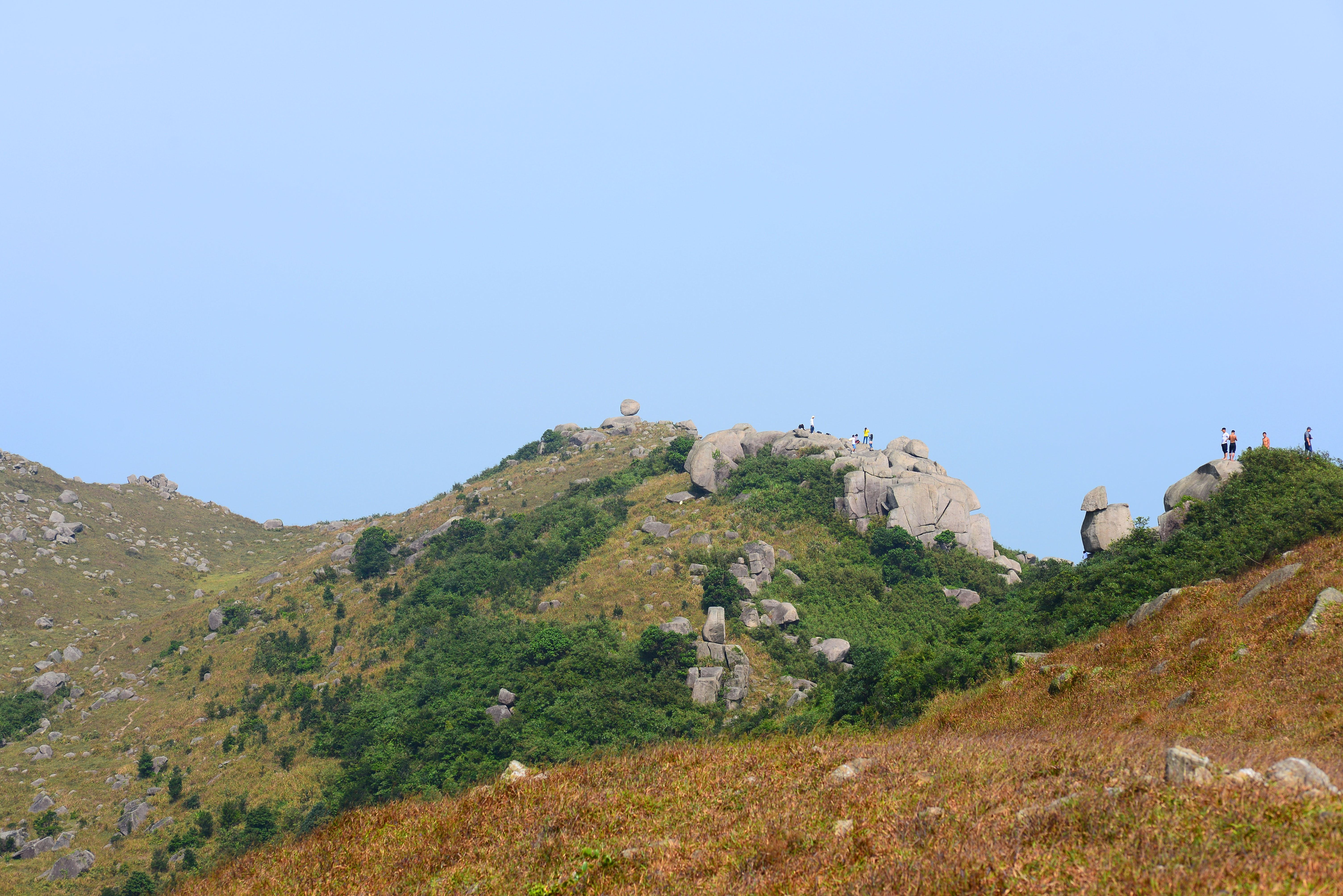 阳西大树岛住宿_第一次到阳西大树岛露营游玩日志_阳西大树岛旅游攻略