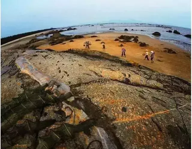 阳西大树岛住宿_阳西大树岛旅游攻略_第一次到阳西大树岛露营游玩日志