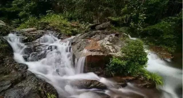 阳西大树岛住宿_阳西大树岛旅游攻略_第一次到阳西大树岛露营游玩日志