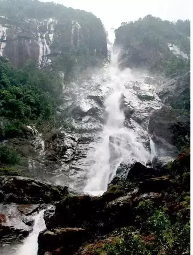 阳西大树岛住宿_阳西大树岛旅游攻略_第一次到阳西大树岛露营游玩日志