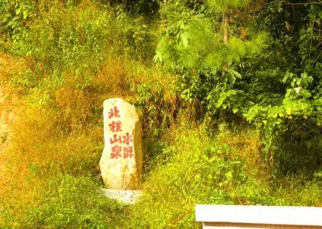 阳西大树岛旅游攻略_阳西大树岛住宿_第一次到阳西大树岛露营游玩日志