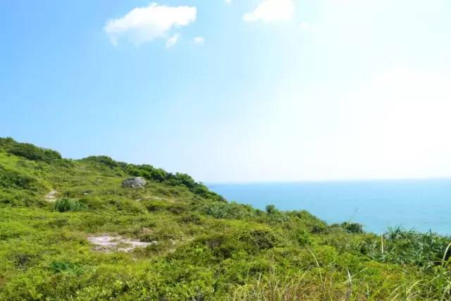 阳西大树岛旅游攻略_阳西上洋河北大树岛_阳西大树岛攻略