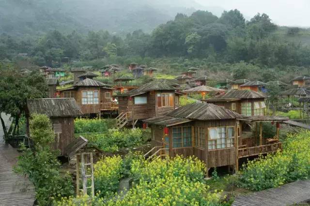 阳西大树岛旅游攻略_阳西上洋河北大树岛_阳西大树岛攻略