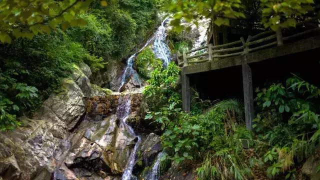 阳西上洋河北大树岛_阳西大树岛攻略_阳西大树岛旅游攻略