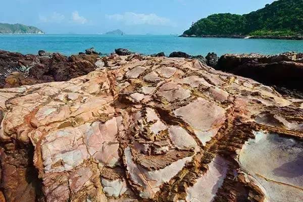 阳西大树岛旅游攻略_阳西上洋河北大树岛_阳西大树岛攻略