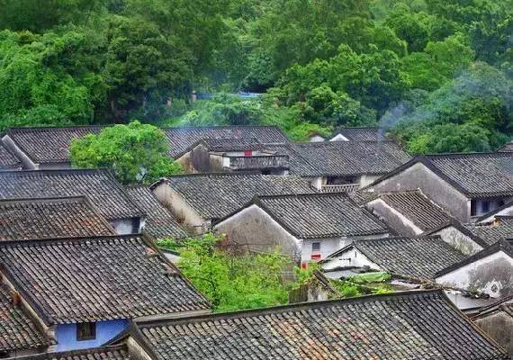 阳西上洋河北大树岛_阳西大树岛攻略_阳西大树岛旅游攻略