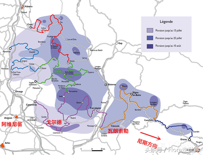 去普罗旺斯旅游多少钱_旅游 普罗旺斯_普罗旺斯旅游攻略