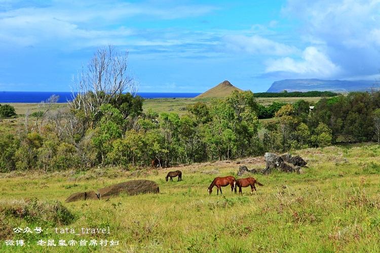 复活节岛旅游攻略_复活岛介绍_复活岛旅游多少钱