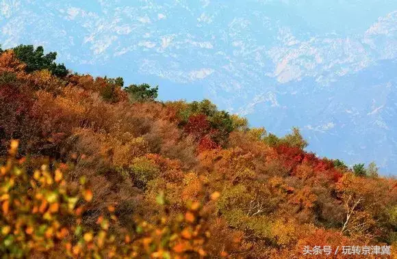 保定冬天好玩的地方_保定冬天景区_保定冬天好玩的景点