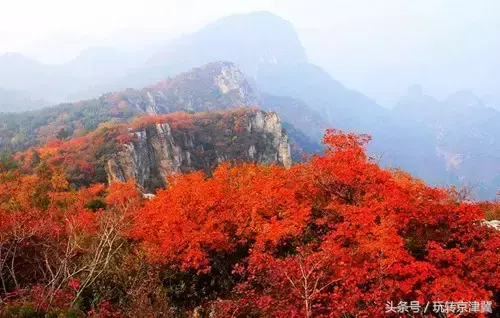 保定冬天景区_保定冬天好玩的景点_保定冬天好玩的地方