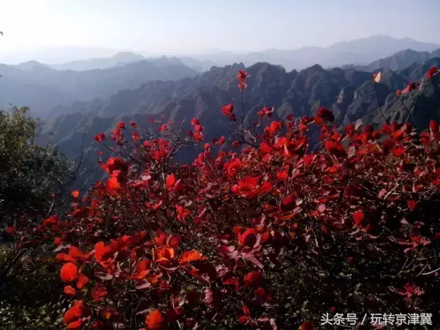 保定冬天好玩的景点_保定冬天景区_保定冬天好玩的地方