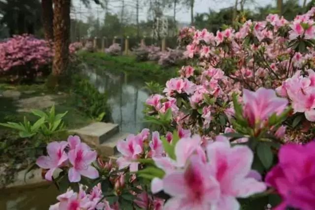 天门沟攻略清远旅游_清远天门沟旅游攻略_清远天门沟大草原