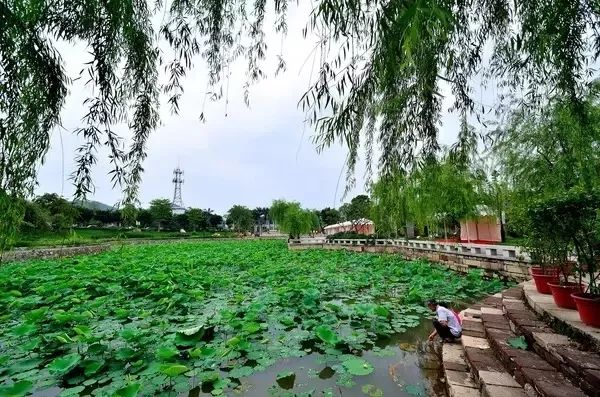 清远天门沟大草原_清远天门沟旅游攻略_天门沟攻略清远旅游