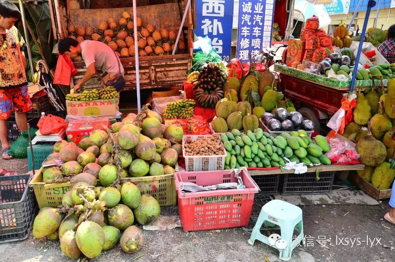 云南西双版纳游玩攻略_云南西双版纳旅游路线推荐_云南西双版纳二日旅游攻略