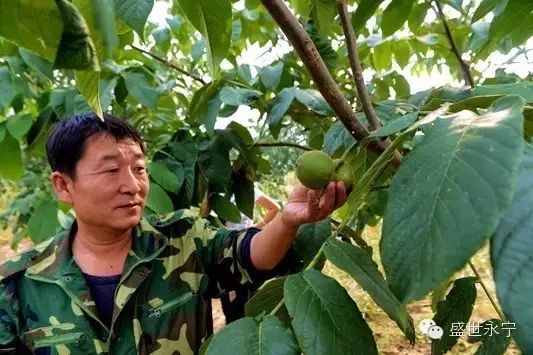 延庆永宁古镇旅游攻略_石狮永宁古镇旅游攻略_延庆永宁古城旅游攻略