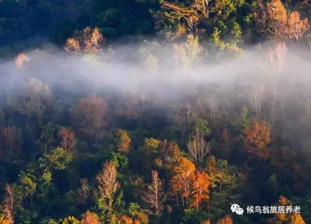 海南五指山旅游攻略_海南亲子旅游攻略_海南自助游旅游攻略