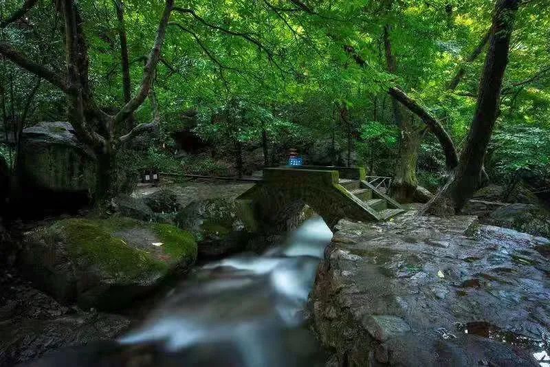 白云旅游路线_白云源旅游攻略_白云旅游区