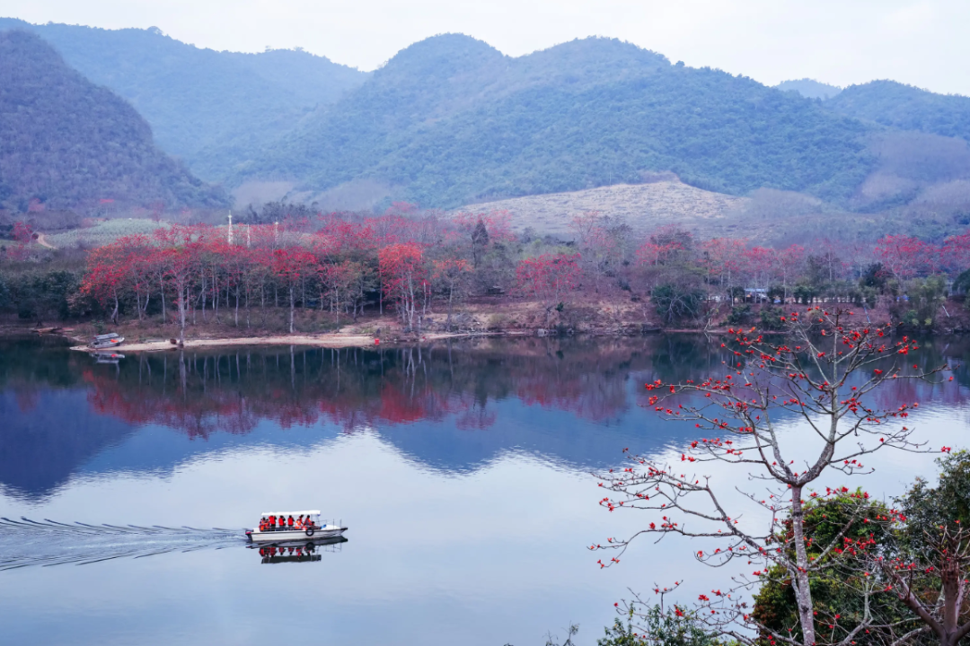 海南景区旅游攻略_海南五指山旅游攻略_五指石风景区旅游攻略