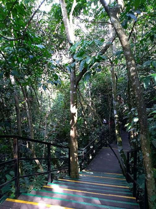 五指石风景区旅游攻略_海南景区旅游攻略_海南五指山旅游攻略