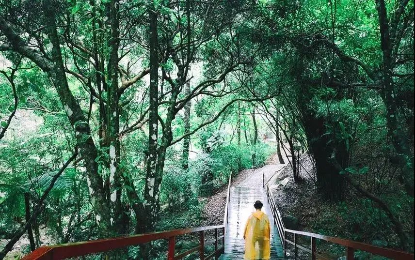 海南渔村旅游攻略_海南农家乐旅游攻略_海南五指山旅游攻略