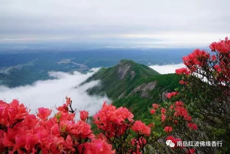 广州到衡山旅游攻略_株洲到衡山旅游攻略_玉林到衡山旅游攻略