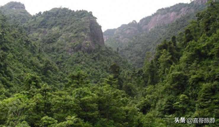 莲花县好玩的景点_莲花旅游景点大全_莲花有什么好玩的景点