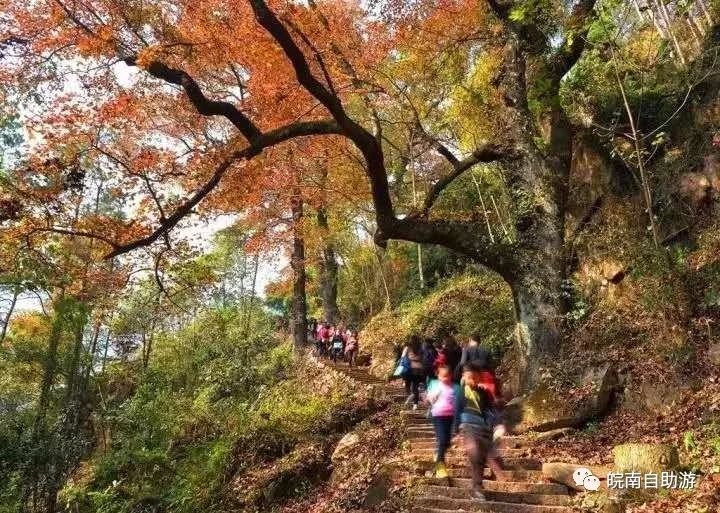 合肥到牯牛降沿途景点_合肥到牯牛降自驾二日游_合肥到牯牛降旅游攻略