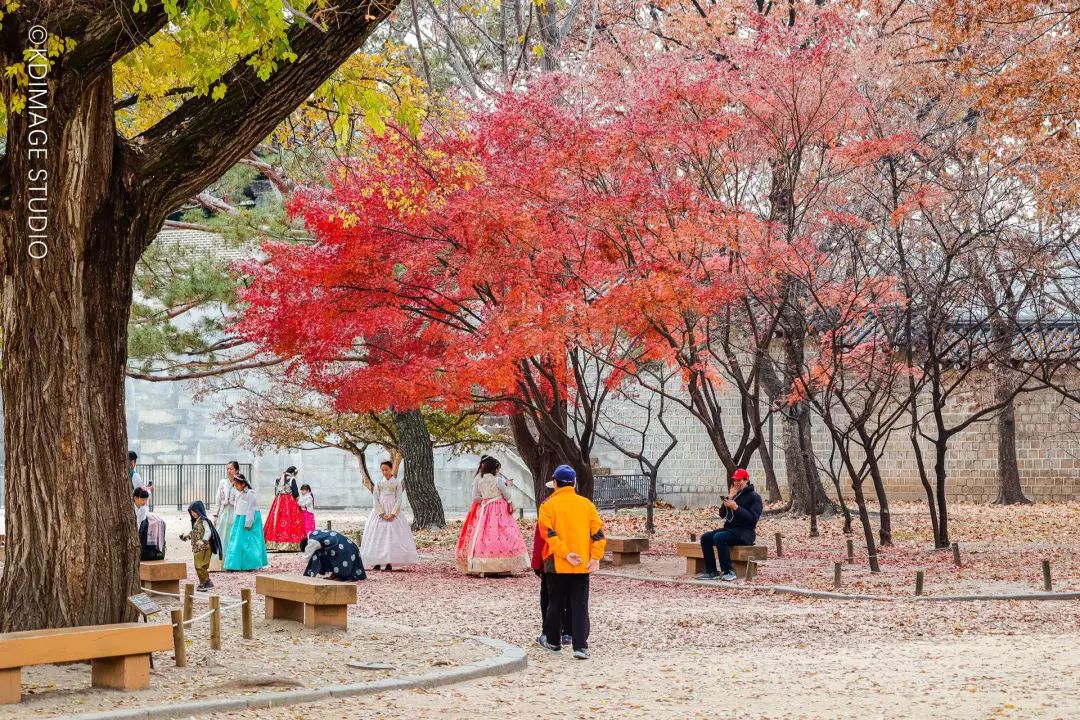 韩国的旅游攻略_韩国济州岛旅游攻略_韩国济州岛首尔旅游攻略