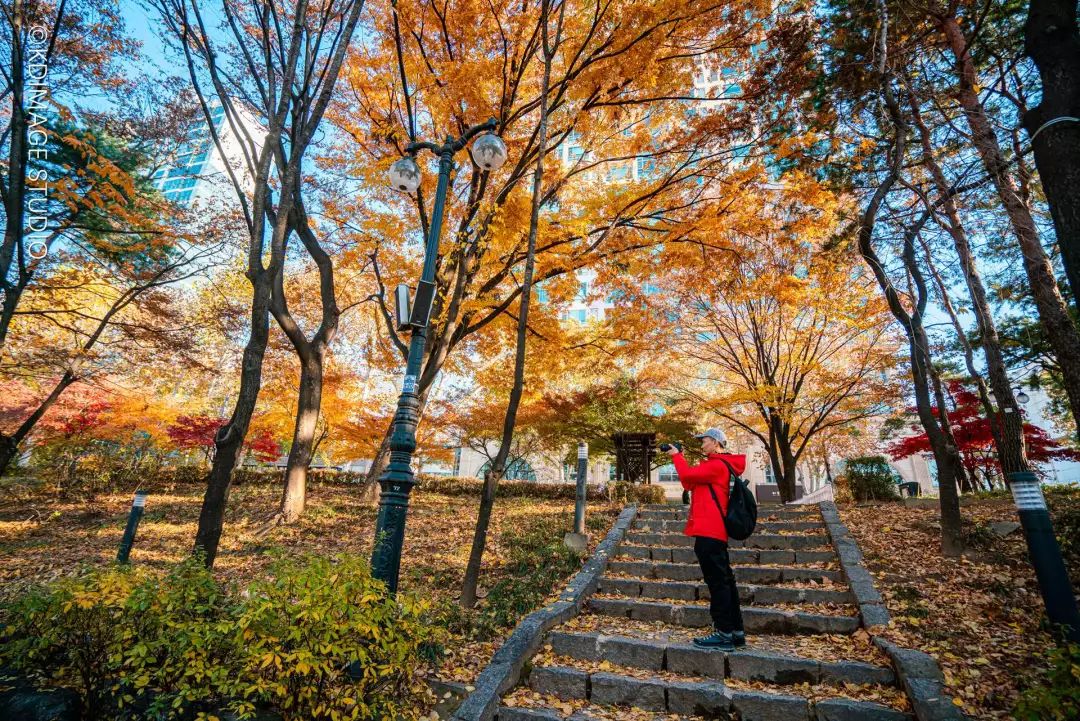 韩国济州岛旅游攻略_韩国济州岛首尔旅游攻略_韩国的旅游攻略