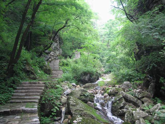 吉林红叶谷景区门票_吉林红叶谷游玩攻略_吉林红叶谷旅游攻略